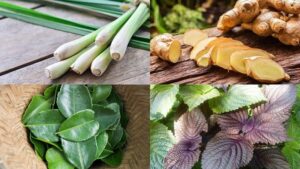 Bỏ túi những lưu ý và cách xông hơi cho người ốm